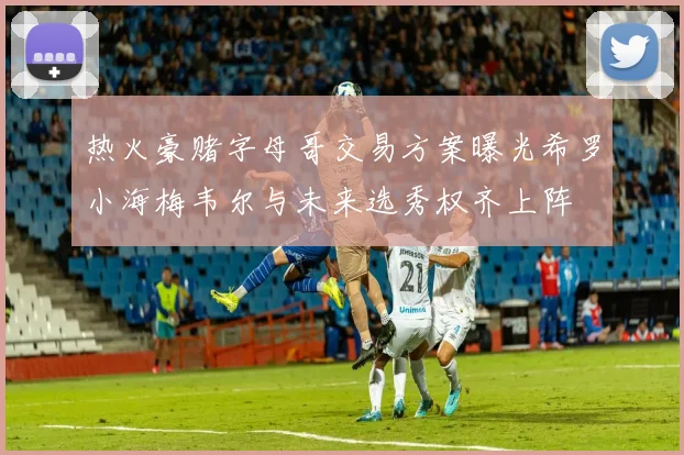 热火豪赌字母哥交易方案曝光希罗小海梅韦尔与未来选秀权齐上阵